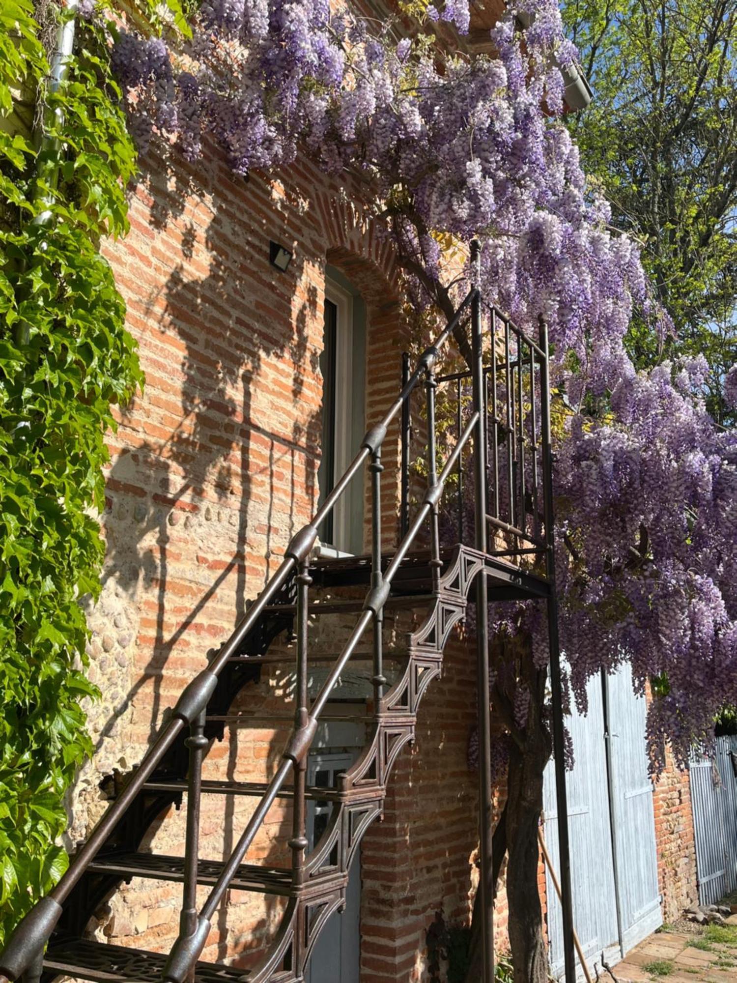 Azas Villa Toscane Creations A 20 Mn De Toulouse מראה חיצוני תמונה
